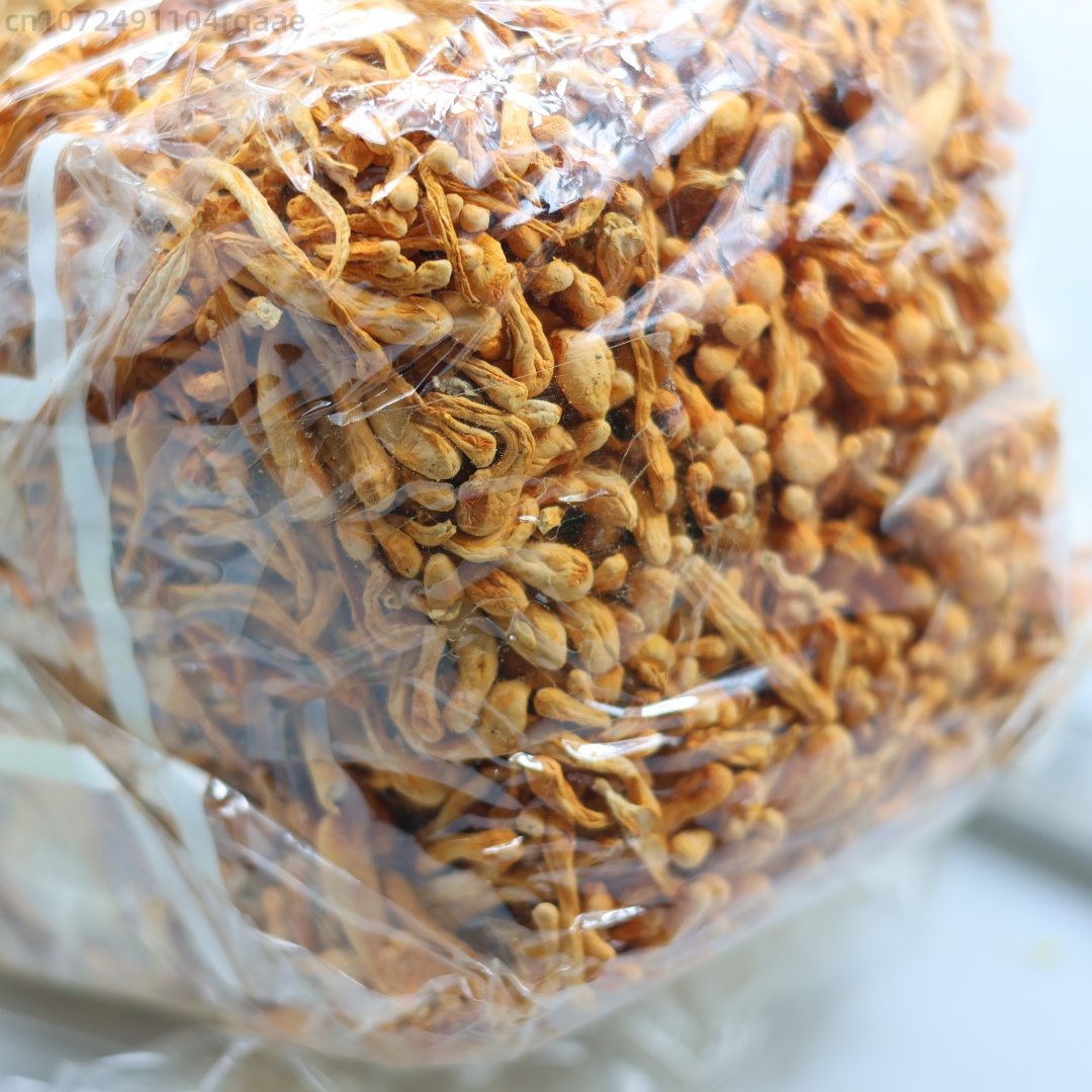 250g/500g Premium Natural Drie - Soap Making Diy Kit recension och pris
